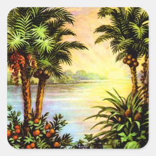 Sticker Carré Lever de soleil tropical