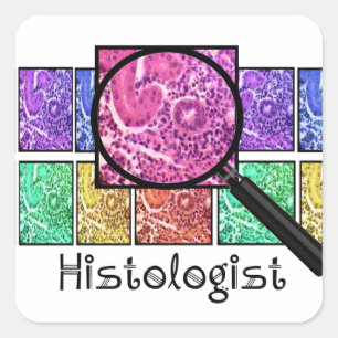 Sticker Carré L'Histologue Dons Des Cellules Magnifiées Concepti