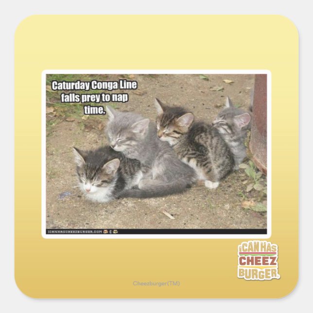 Sticker Carré Ligne Caturday Conga (Devant)