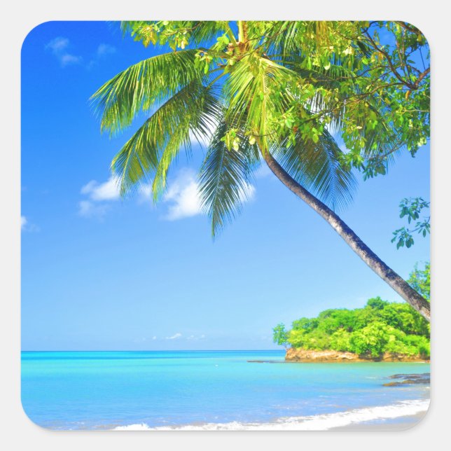 Sticker Carré L'île tropicale (Devant)