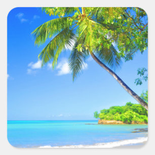 Sticker Carré L'île tropicale