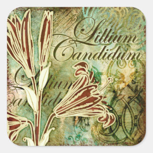 Sticker Carré Lillium Candidum