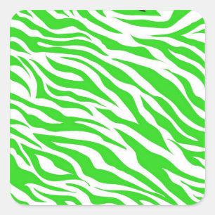 Sticker Carré Lime Green Zebra Grandes Posters de animaux sauvag