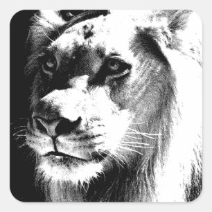 Sticker Carré Lion Eyes
