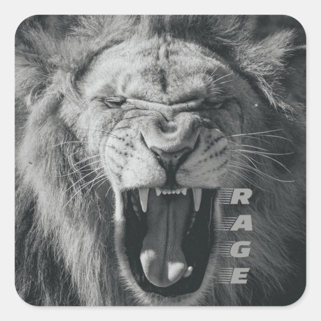 Sticker Carré Lion Rage noir et blanc Rocher (Devant)
