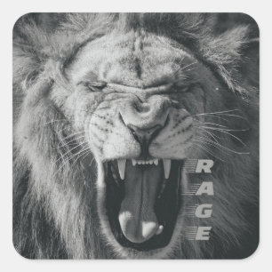 Sticker Carré Lion Rage noir et blanc Rocher