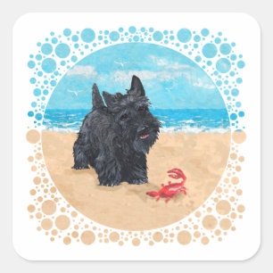 Sticker Carré Little Scottie trouve un crabe à la plage