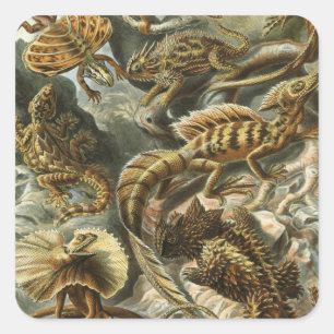 Sticker Carré Lizards par Ernst Haeckel Vintage Lacertilia Anima