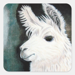 Sticker Carré Llama blanche