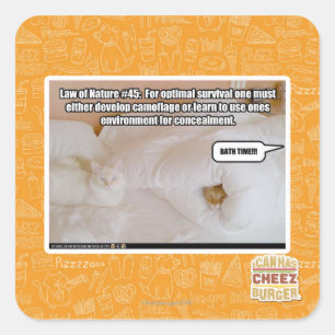 Sticker Carré Loi de la nature #45