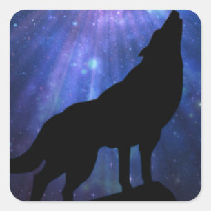 Sticker Carré Loup céleste