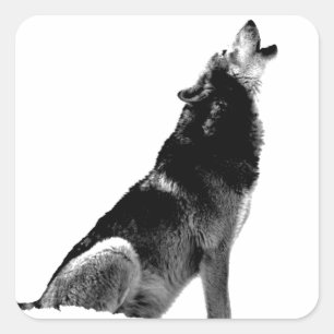 Sticker Carré Loup de Howling blanc noir