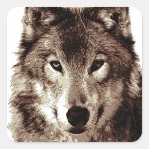 Sticker Carré Loup gris