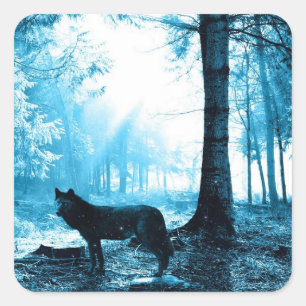 Sticker Carré Loup noir seul dans la forêt