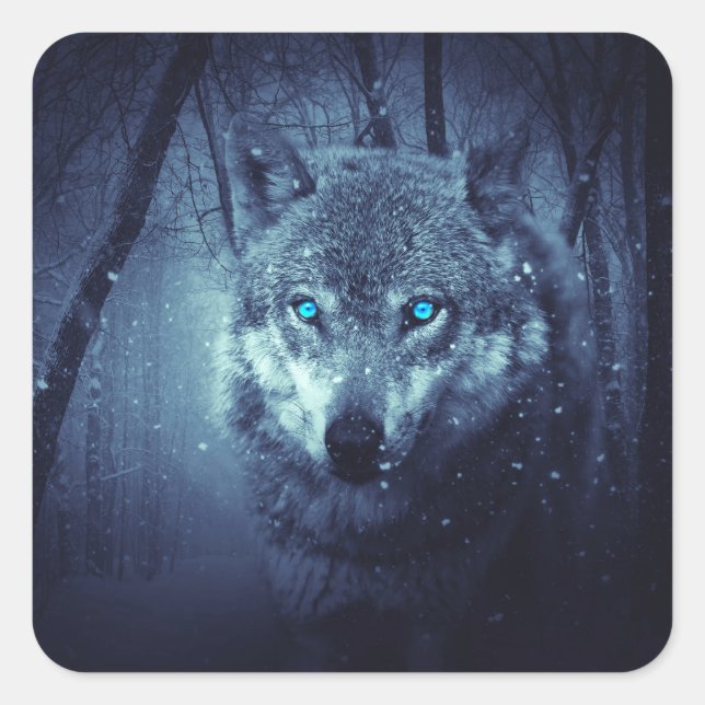 Sticker Carré Loup sauvage magique aux yeux bleus Extraordinaire (Devant)