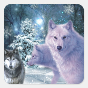 Sticker Carré Loups sauvages majestueux dans la forêt