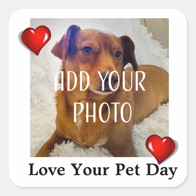 Sticker Carré Love Your Pet Day (Devant)