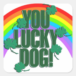 Sticker Carré Lucky Dog et Rainbow St Patrick