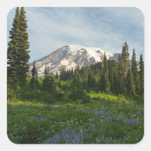 Sticker Carré Lumière du matin sur le mont Rainier