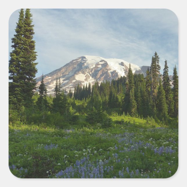 Sticker Carré Lumière du matin sur le mont Rainier (Devant)