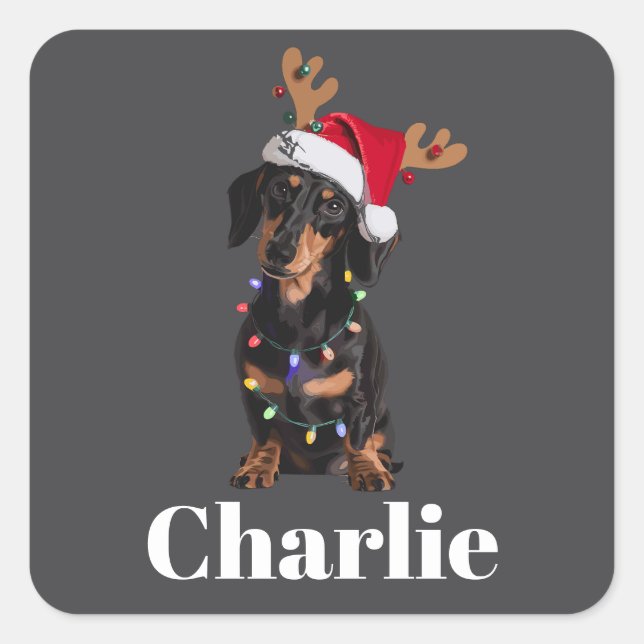Sticker Carré Lumières de Noël pour chien teckel personnalisées  (Devant)