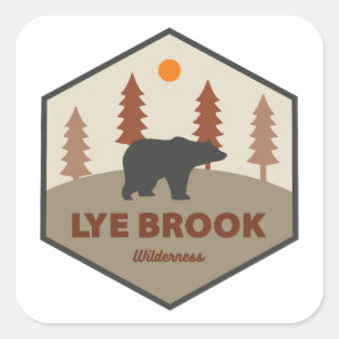 Sticker Carré Lye Brook Wilderness Vermont Ours