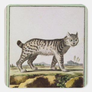 Sticker Carré Lynx canadienne