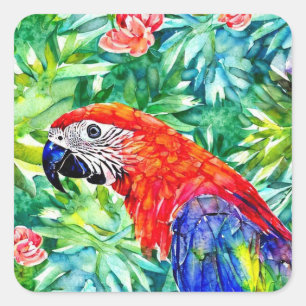 Sticker Carré Macaw Parrot