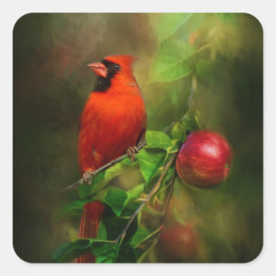 Sticker Carré Magnifique cardinal masculin
