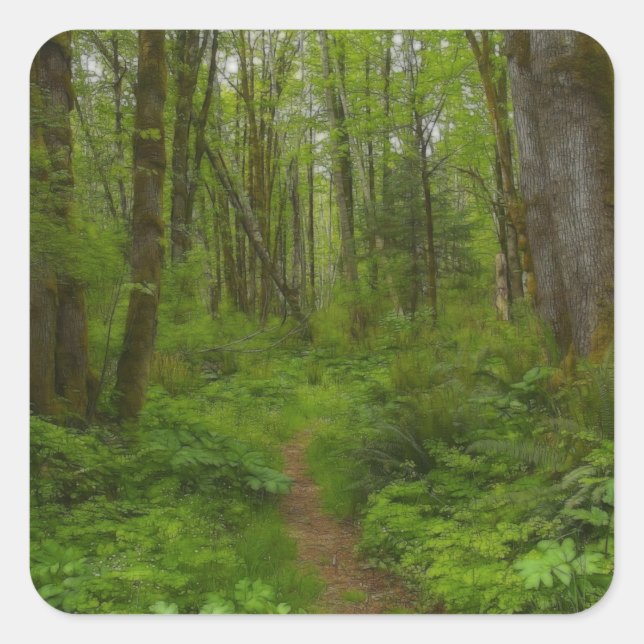 Sticker Carré Magnifique paysage sauvage de la nature (Devant)