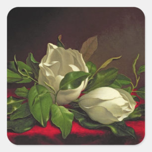 Sticker Carré Magnolia