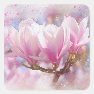 Sticker Carré Magnolia rose-pourpre en floraison - Fleur de prin