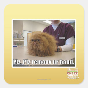 Sticker Carré Main d'ur de remoov de PLZ