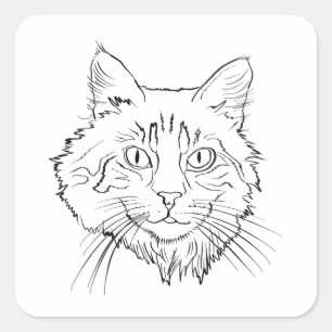Sticker Carré Maine Coon Cat Line Art