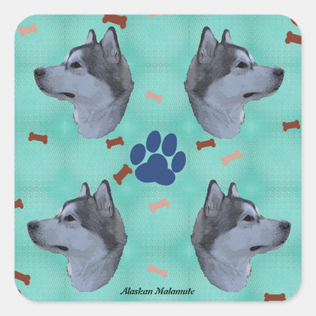 Sticker Carré Malamute d'Alaska (Devant)