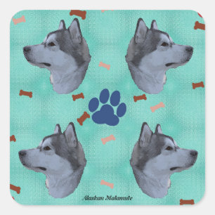 Sticker Carré Malamute d'Alaska