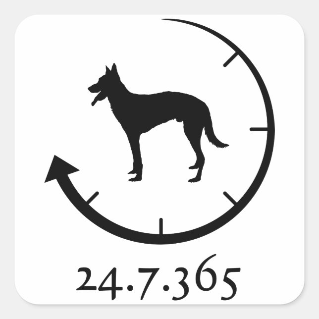 Sticker Carré Malinois belge (Devant)