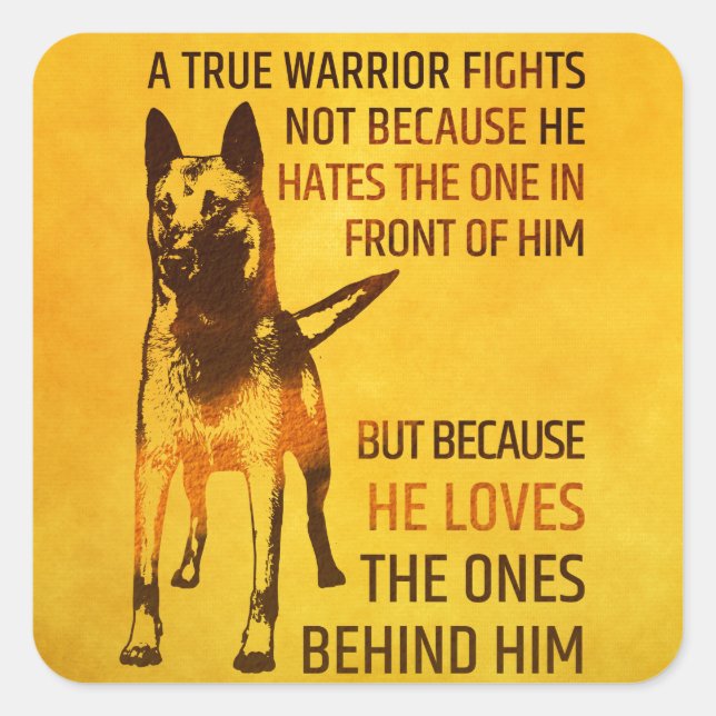 Sticker Carré Malinois - Berger belge -Mechelaar -Maligator (Devant)