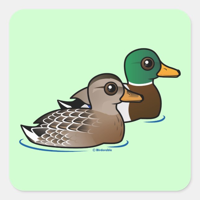 Sticker Carré Mallard Pair (Devant)