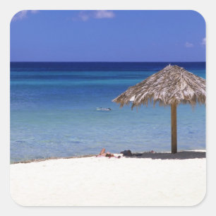 Sticker Carré Malmok Beach, Aruba, Antilles de Pays-Bas