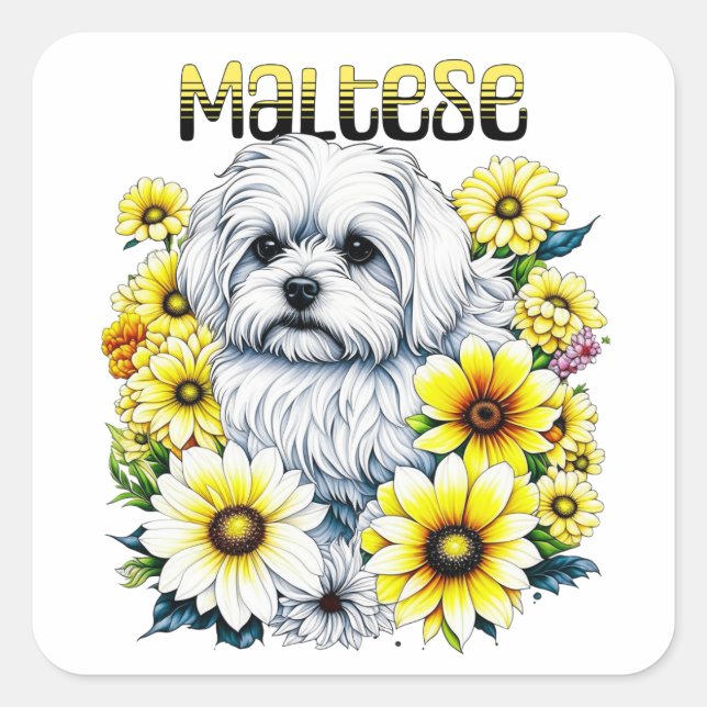 Sticker Carré Maltais Petite : Gris de chien blanc en fleurs jau (Devant)