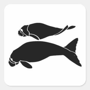 Sticker Carré Manatees