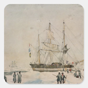 Sticker Carré Marchant dans le paquet, expédition de Ross, 1842