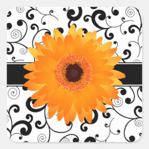 Sticker Carré Marguerite orange de Gerbera avec le joint noir de