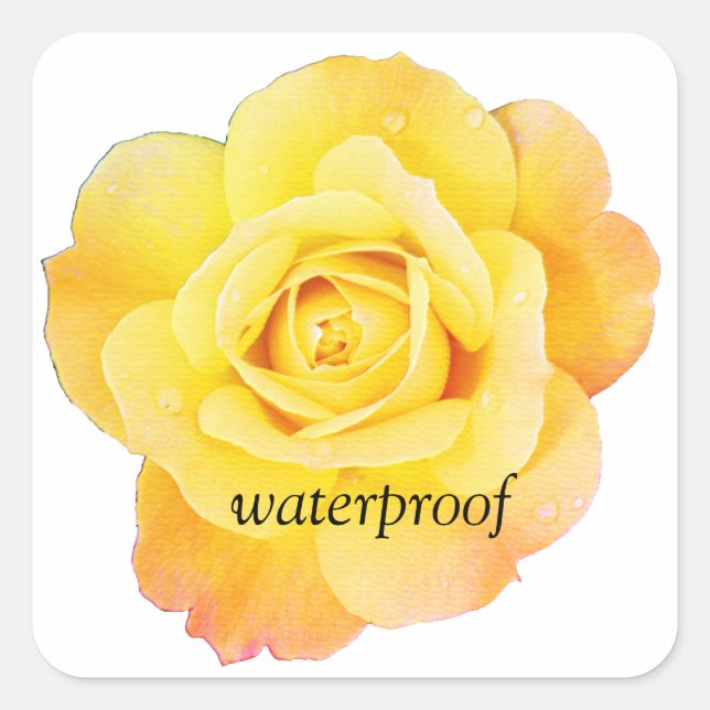 Sticker Carré Mariage floral de rose jaune Splash Free étanche (Devant)