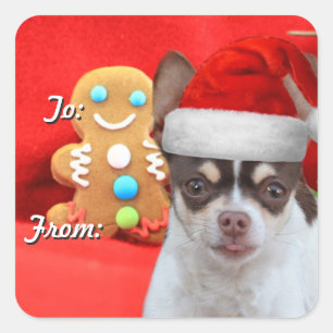Sticker Carré Marque cadeau de Noël Chihuahua