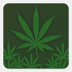Sticker Carré Mauvaise herbe