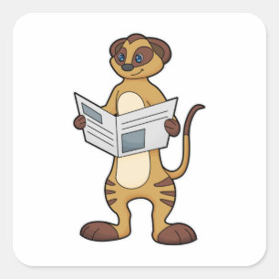 Sticker Carré Meerkat à la lecture d'un journal