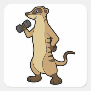 Sticker Carré Meerkat à l'entraînement Force avec Dumbbell
