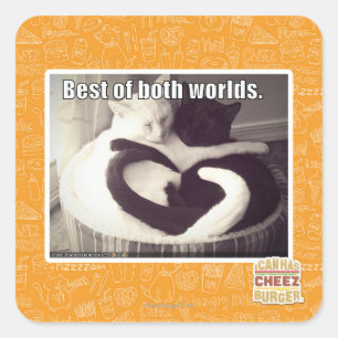 Sticker Carré Meilleur des deux mondes